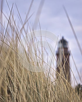 Dune grass with lighthouse in the background near Prerow, Fischland-Darss-Zingst photo