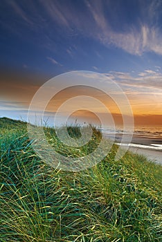 Dune grass, sunset and beach in landscape, nature and environment for outdoor. Ocean, water and clouds in blue sky with