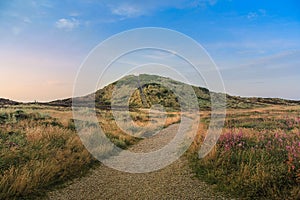 Dune at Henne-Strand