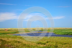 Dune lake De Muy at national park in the Netherlands on island Texel photo