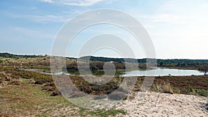 Dune Lake of the Schoorlse Duinen in North Holland, the Netherlands