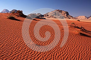 Dune landscape