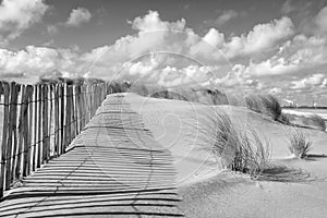 Dune landscape and fence in black and white