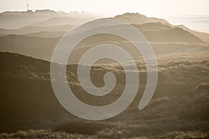 Dune landscape on a foggy day