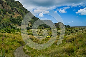 Landscape at the foot of the Waitakere Ranges, Auckland, New Zealand photo