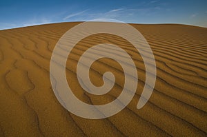 Dune landscape, La Pampa , Argentina photo