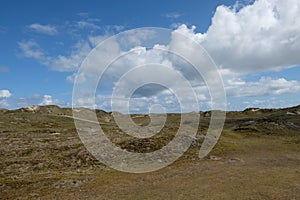 Dune landscape on Norderney