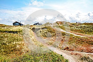 Dune landscape at the North Sea with holiday homes near Henne Strand, Jutland Denmark photo