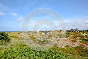 Dune landscape at the North Sea with holiday homes near Henne Strand, Jutland Denmark photo