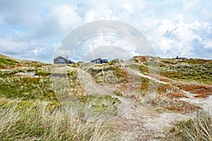 Dune landscape at the North Sea with holiday homes near Henne Strand, Jutland Denmark Scandinavia Europe photo