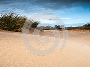 Dune landscape