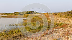 Dune landscape Terschelling photo