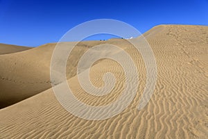 Dune of Maspalomas Nature reserve in the south of Gran Canary Island