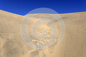 Dune of Maspalomas Nature reserve in the south of Gran Canary Island