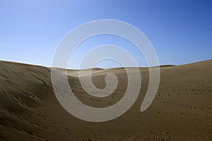 Dune of Maspalomas Nature reserve in the south of Gran Canary Island