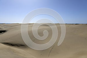 Dune of Maspalomas Nature reserve in the south of Gran Canary Island