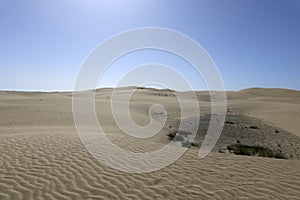 Dune of Maspalomas Nature reserve in the south of Gran Canary Island