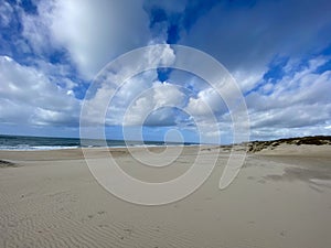 Dune in Mira beach, Portugal photo