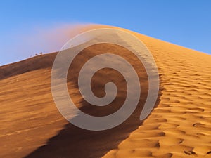 Dune 45