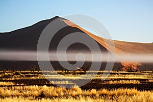 Dune in Namibia