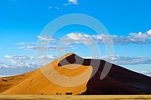 Dune 45 in Namibia. Dune in Namib Desert, Namibia