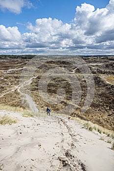 Dune nature reserve, a woman going down a hill among white sand, grass, dry heather and trees in the background