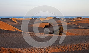 Dune panorama at sunset