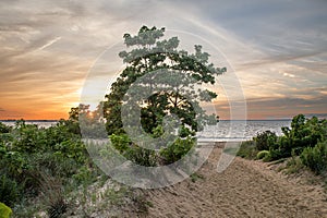 Dune Path Sunset