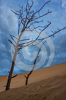 Dune of Pilat, Arcachon Bay, France