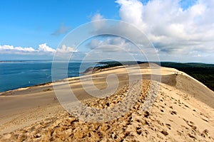 The Dune of Pilat - Landes(Moors)