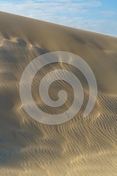 Wind tracks in the sand of the Dune of Pilat.