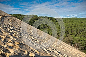 Dune of Pyla, Europe's highest dune