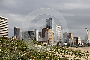 Dune Rehabilition at Durban with Beachfront Buildings in Background