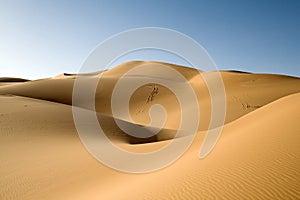 Dune of the Sahara