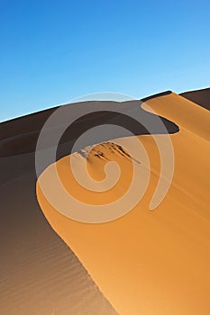 Dune in Sahara desert