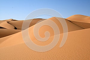Dune of the Sahara desert