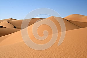 Dune of the Sahara desert