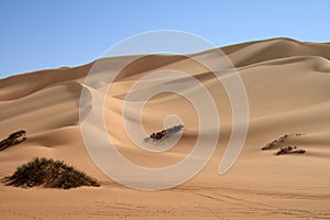 Dune of the Sahara desert