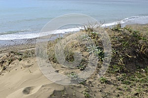 Dune sand in Marbella