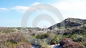 Dune of the Schoorlse Duinen in North Holland, the Netherlands