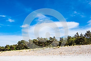 Dune on shore of the Baltic Sea in Prerow, Germany