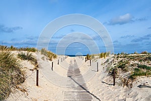 Dune on shore of the Baltic Sea in Warnemuende, Germany
