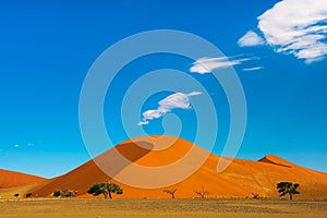 The dune 40 in Sossusvlei, Namib Naukluft National Park, Namibia