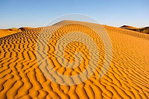 Dune in sunset