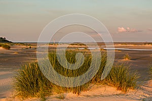 Dunegrass at sunset