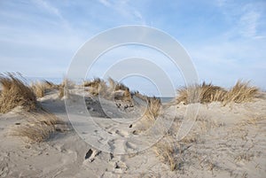 Dunes