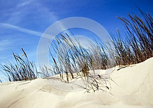 Dunes