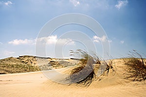 Dunes