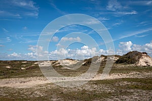 Dunes area called the `schoorlse duinen`