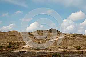 Dunes area called the `schoorlse duinen`